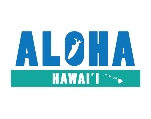 ALOHA ~ HAWAII ~ 16x20