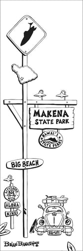 MAKENA STATE PARK ~ BIG BEACH ~ 8x24