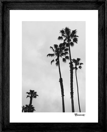 OCEANSIDE ~ 408 PALMS ~ 3:4