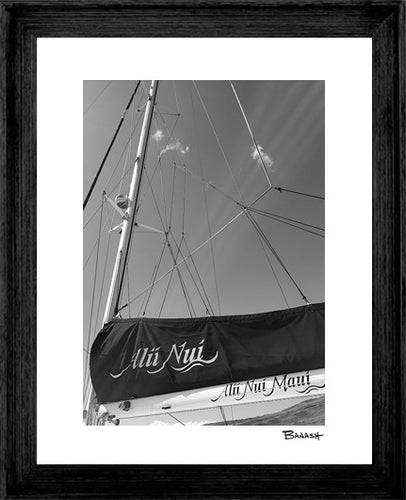 ALII NUI ~ CATAMARAN ~ 3:4