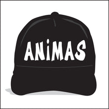 Load image into Gallery viewer, ANIMAS ~ DURANGO ~ TOWN ~ GRAPHIC HAT