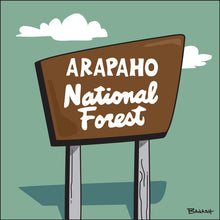 Load image into Gallery viewer, ARAPAHO ~ NATIONAL FOREST ~ BACKCOUNTRY SIGN ~ 1:1
