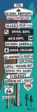 Load image into Gallery viewer, ARIZONA SNOWBOWL ~ SKI MOUNTAIN ~ SIGN POST ~ FLAGSTAFF ~ 1:3