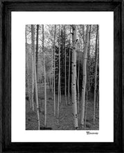 Load image into Gallery viewer, ASPENS ~ D&amp;SNG ~ GRAYSCALE