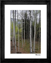 Load image into Gallery viewer, ASPENS ~ D&amp;SNG