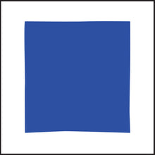Load image into Gallery viewer, SKI RUN ~ INTERMEDIATE ~ 1:1