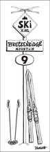 Load image into Gallery viewer, BRECKENRIDGE MOUNTAIN ~ SKI XING ~ VINTAGE SKIIS