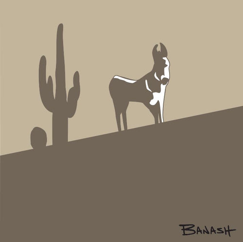 BURRO ~ SWITCHBACK ~ LOWER ~ ARIZONA ~ 1:1