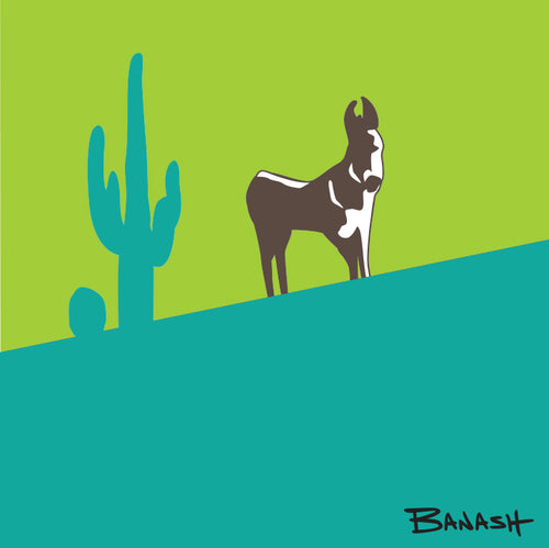BURRO ~ SWITCHBACK ~ LOWER ~ ARIZONA ~ LIME SEAFOAM ~ 1:1