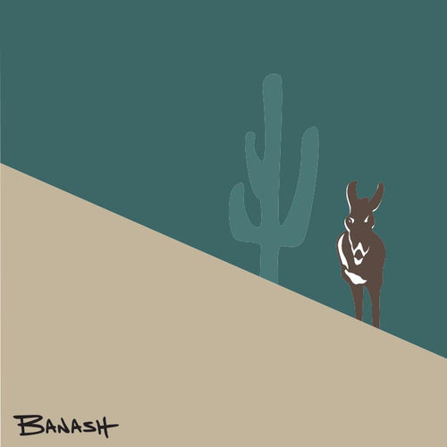 BURRO ~ SWITCHBACK ~ MID ~ ARIZONA ~ 1:1