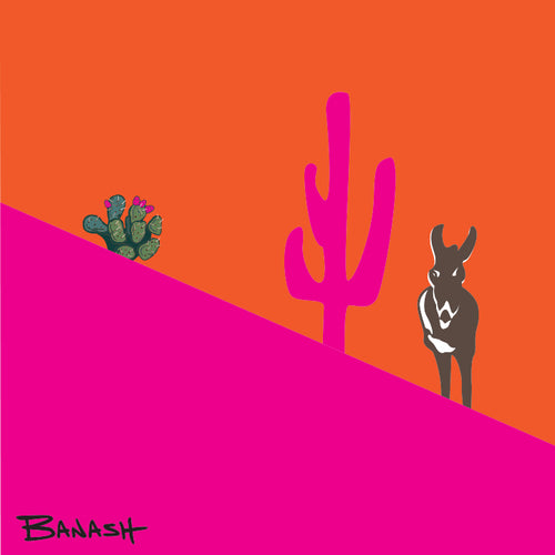 BURRO ~ SWITCHBACK ~ MID ~ ARIZONA ~ ORANGE PINK ~ 1:1