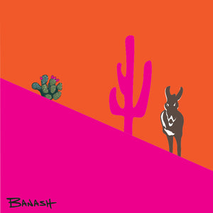 BURRO ~ SWITCHBACK ~ MID ~ ARIZONA ~ ORANGE PINK ~ 1:1
