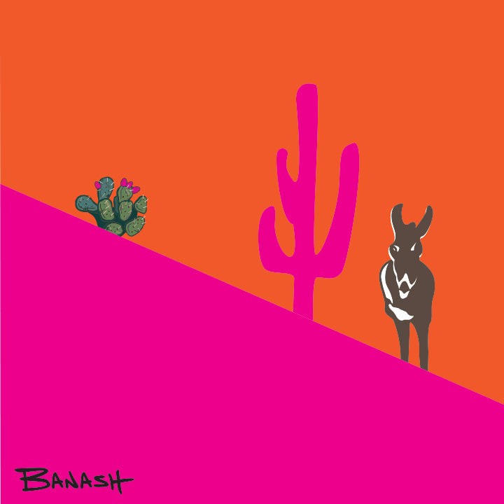 BURRO ~ SWITCHBACK ~ MID ~ ARIZONA ~ ORANGE PINK ~ 1:1
