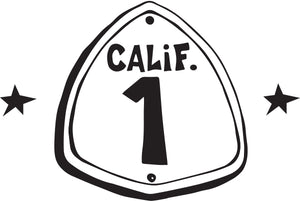CALIFORNIA ~ OLD HWY 1 ~ SIMPLE SURF BUS