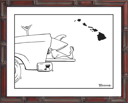 HAWAI'I ~ TAILGATE SURF GREM ~ CATCH A LINE ~ 3:4