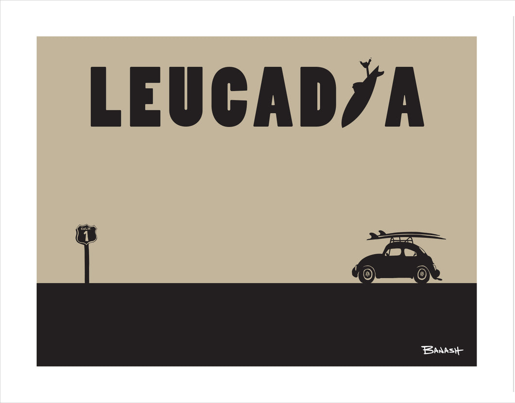 LEUCADIA ~ SURF BUG ~ CATCH A SURF ~ BLACK N TAN ~ 3:4