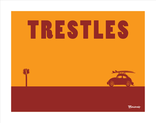 TRESTLES ~ SAN ONOFRE ~ SURF BUG ~ CATCH A SURF ~ 3:4