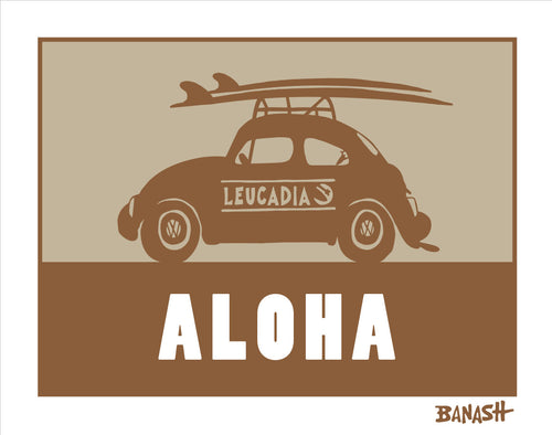 ALOHA ~ LEUCADIA ~ SURF BUG ~ CATCH SAND ~ 3:4
