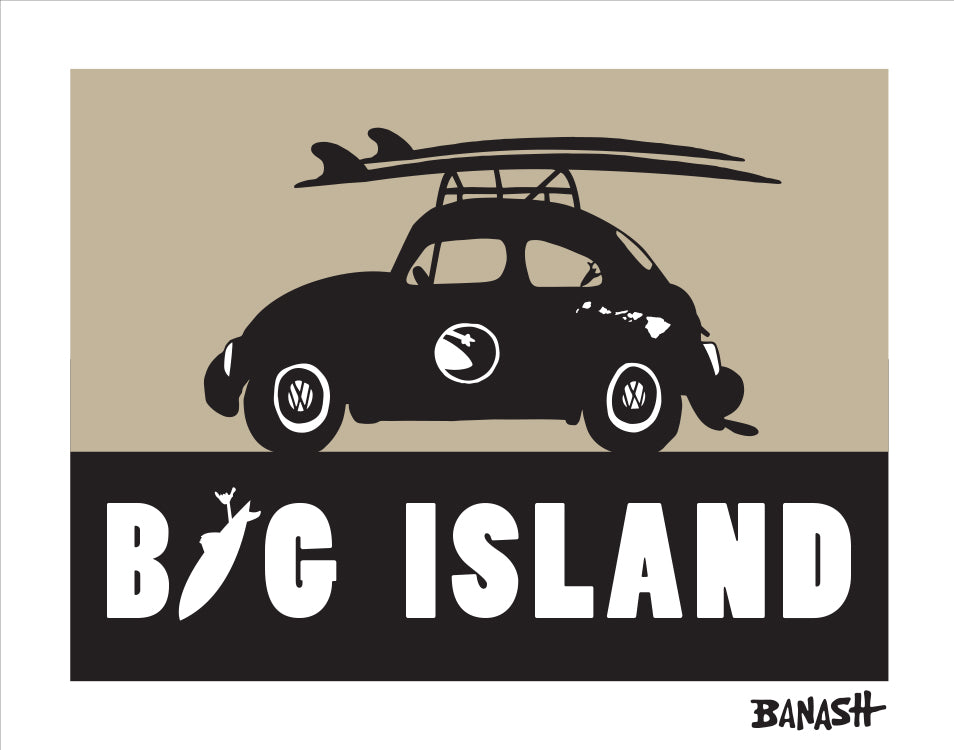 BIG ISLAND ~ SURF BUG ~ 3:4