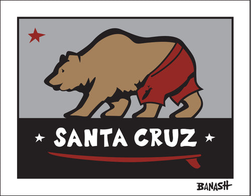 SANTA CRUZ ~ SURF BEAR ~ 3:4