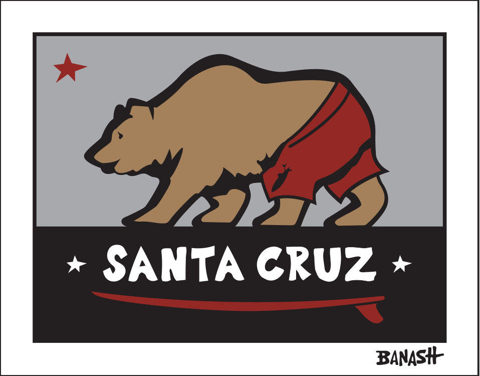 SANTA CRUZ ~ SURF BEAR ~ 3:4