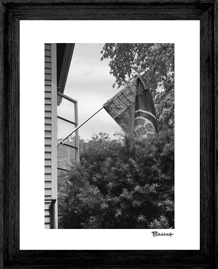 CUBS PORCH ~ CHICAGO ~ 3:4