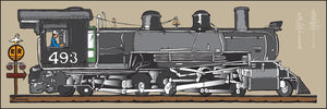 LOCOMOTIVE 493 ~ D&SNG RR ~ 1:3