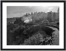 Load image into Gallery viewer, BACKCOUNTRY ~ D&amp;SNG RR ~ 3:4