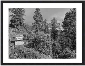SAN JUAN NATIONAL FOREST ~ D&SNG RR ~ 3:4