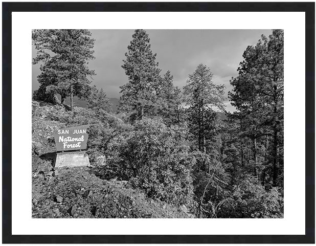 SAN JUAN NATIONAL FOREST ~ D&SNG RR ~ 3:4