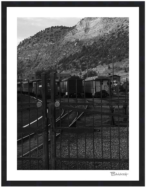 THE YARD ~ GATES ~ D&SNG RR ~ 3:4