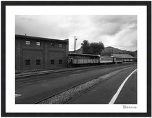 Load image into Gallery viewer, COACH CARS ~ D&amp;SNG RR ~ TRAIN YARD ~ DURANGO TOWN DEPOT