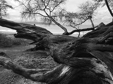 Load image into Gallery viewer, PO&#39;OLENALENA BEACH PARK ~ DRIFT ISLAND ~ 3:4