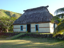 Load image into Gallery viewer, FIJI ~ RUGBY FIELD HOUSE