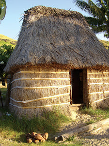 FIJI ~ MALAKATI VILLAGE HUT ~ 16x20