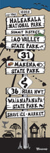 Load image into Gallery viewer, HALEAKALA NATIONAL PARK ~ SIGN POST ~ 1:3