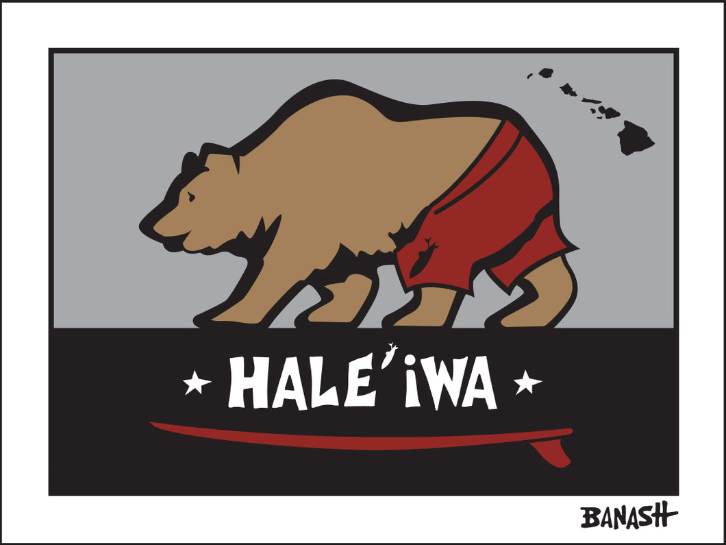 HALE'IWA ~ O'AHU ~ HAWAI'I ~ SURF BEAR ~ 3:4