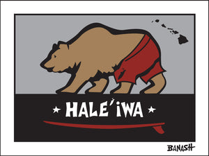 HALE'IWA ~ SURF BEAR ~ 3:4