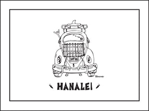 HANALEI ~ SURF BUG TAIL ~ CATCH A LINE ~ 3:4