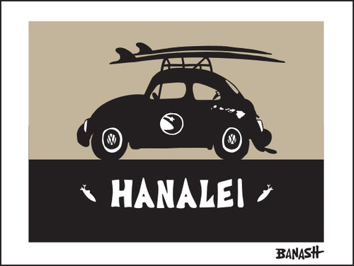 HANALEI ~ SURF BUG ~ 3:4
