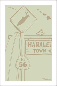 HANALEI TOWN ~ SURF XING ~ HANA HWY 56 ~ DRIFTWOOD ~ 2:3