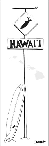 HAWAI'I ~ LONGBOARD ~ SURF XING ~ 1:3