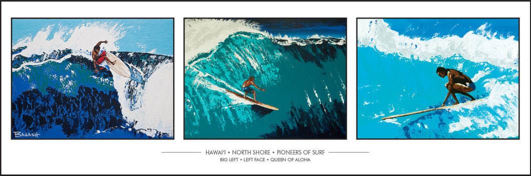 HAWAI'I ~ PIONEERS OF SURF ~ BIG LEFT ~ LEFT FACE ~ QUEEN OF ALOHA ~ 1:3