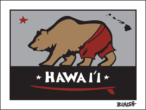 HAWAI'I ~ SURF BEAR ~ 3:4