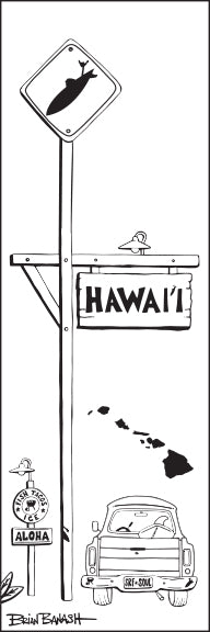 HAWAI'I ~ TOWN SIGN POST ~ SURF XING ~ 1:3