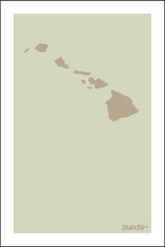HAWAIIAN ISLANDS ~ DRIFTWOOD ~ 12x18