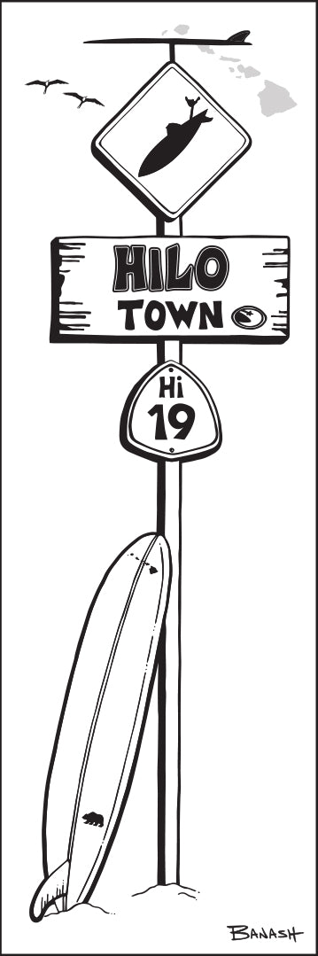 HILO ~ BIG ISLAND ~ LONGBOARD ~ SURF XING ~ 8x24