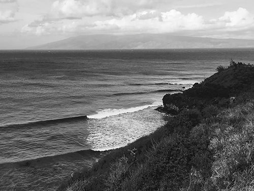 HONOLUA BAY ~ REEF ~ 3:4