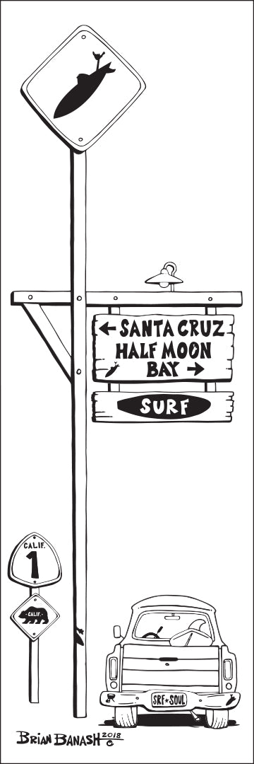 SANTA CRUZ ~ HALF MOON BAY ~ HWY 1 ~ TOWN SURF XING ~ 8x24