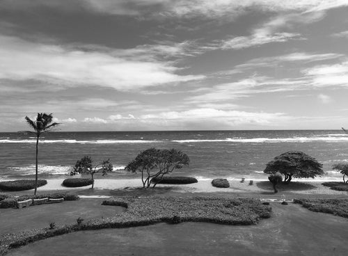 KAPA'A ~ WAIPOULI BEACH ~ REEF ~ GRAYSCALE ~ 16x20